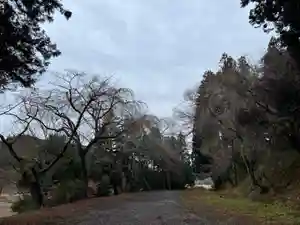 大宮温泉神社(栃木県)(2024年02月25日(日) 17時04分59秒投稿)