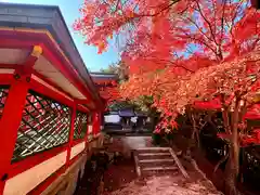 佐久奈度神社(滋賀県)