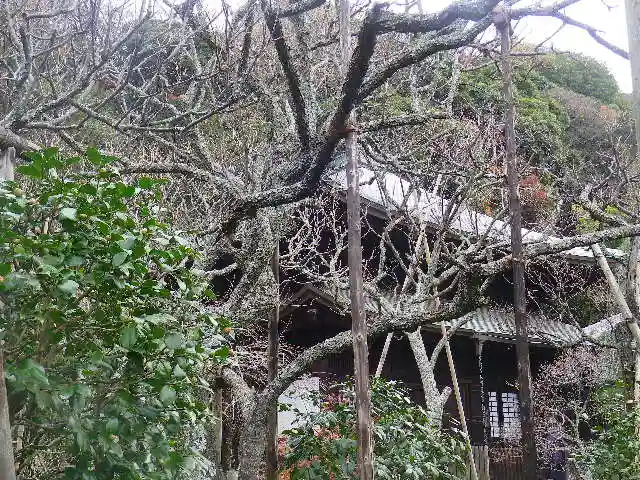 瑞泉寺のその他建物