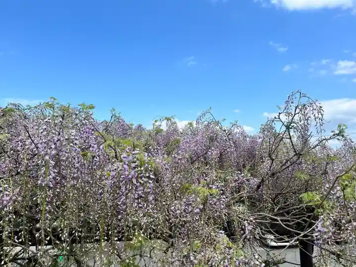 子安地蔵寺の{uncategorized: "未分類", other: "その他", undefined: "問題あり", building: "その他建物", grave: "お墓", sacred_gate: "鳥居", guardian: "狛犬", statue: "像", buddha: "仏像", history: "歴史", nature: "自然", garden: "庭園", animal: "動物", pagoda: "塔", temizu: "手水舎", mountain_gate: "山門・神門", sanctuary: "本殿・本堂", subordinate: "末社・摂社", art: "芸術", scenery: "景色", jizo: "地蔵", ema: "絵馬", goshuin: "御朱印", omikuji: "おみくじ", items: "授与品その他", amulet: "お守り", goshuincho: "御朱印帳", eats: "食事", festival: "お祭り", votive_dance: "神楽", shichigosan: "七五三参", wedding: "結婚式", experience: "体験その他", initially: "初詣", around: "周辺", anti_infection: "感染症対策"}