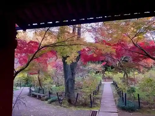 本土寺(千葉県)