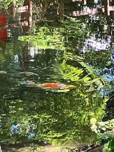 賀茂御祖神社（下鴨神社）(京都府)
