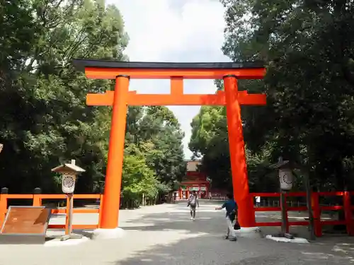 賀茂御祖神社（下鴨神社）の鳥居