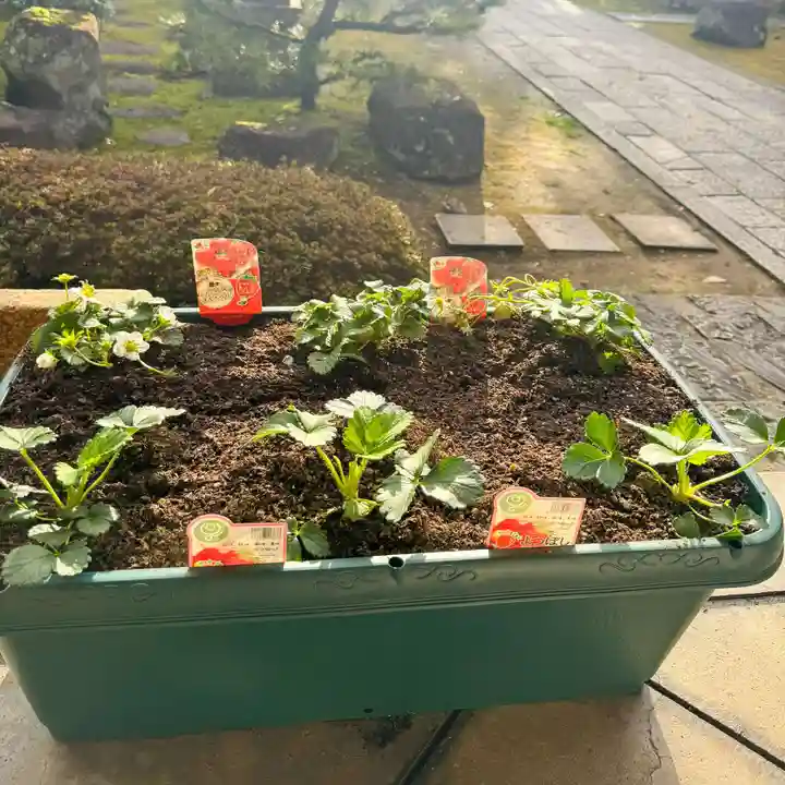 伊勢の国 四天王寺(三重県)