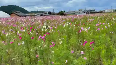 田村神社の周辺