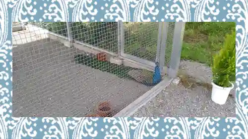 進雄神社(群馬県)