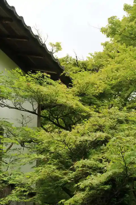 曼殊院門跡(京都府)