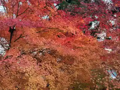 国宝 大法寺(長野県)