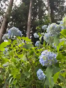坪沼八幡神社(宮城県)(2025年06月25日(水) 14時37分22秒投稿)