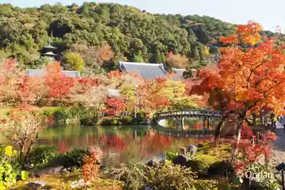 禅林寺(永観堂)(京都府)