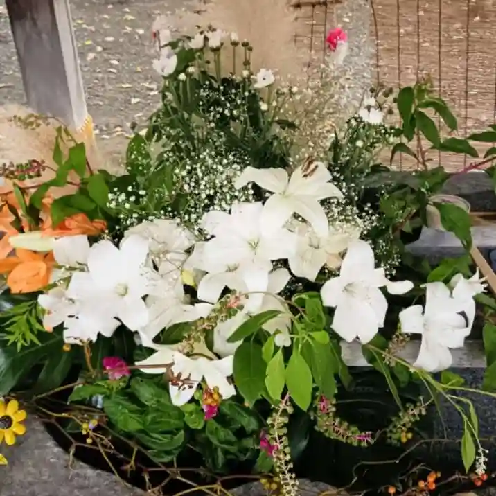 彌彦神社 (伊夜日子神社)(北海道)