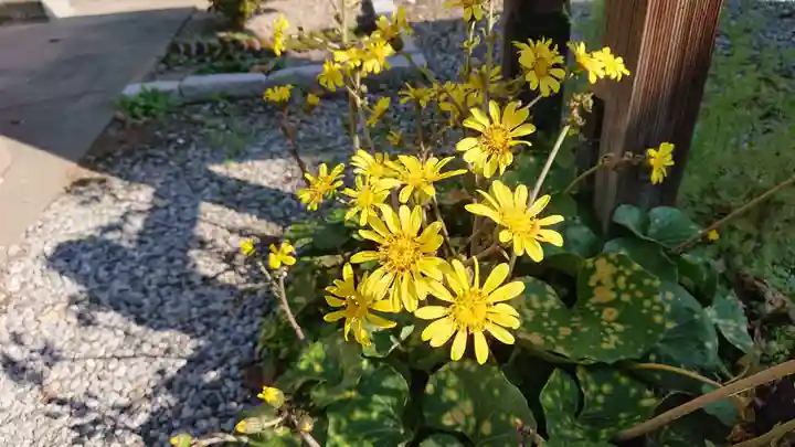 長良神社の自然