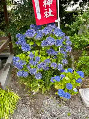 源九郎稲荷神社の自然