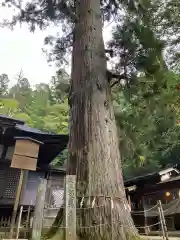 日枝神社(岐阜県)