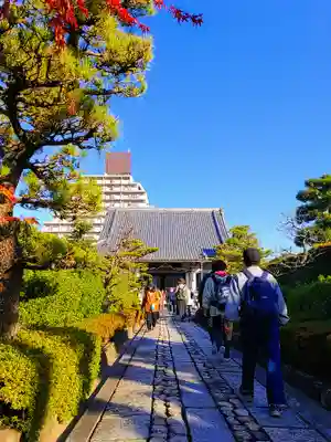 興禅寺の本殿・本堂