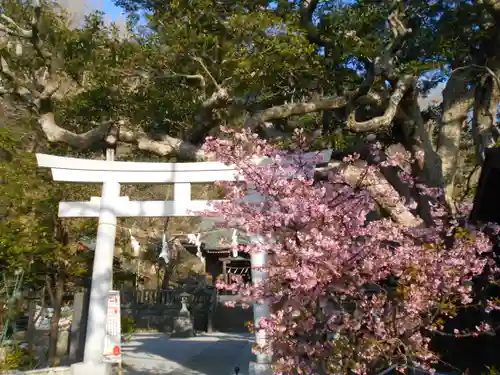 御霊神社の鳥居