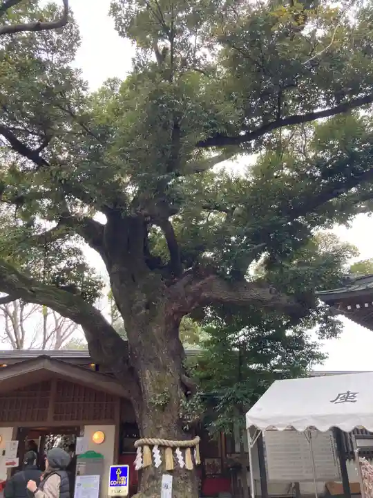座間神社(神奈川県)