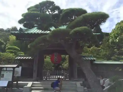 長谷寺の山門