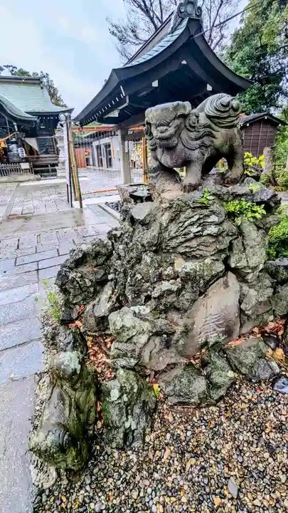 菊田神社の狛犬