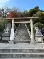 日枝大神の鳥居