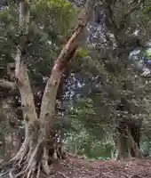 坂戸神社(茨城県)