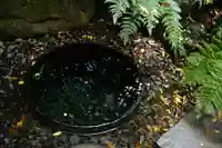 明治神宮(東京都)