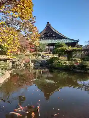 時宗総本山 遊行寺（正式：清浄光寺）(神奈川県)