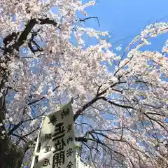 高司神社〜むすびの神の鎮まる社〜の自然