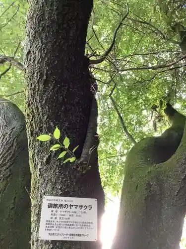 針綱神社　御旅所(愛知県)