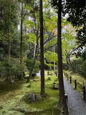桂春院(京都府)