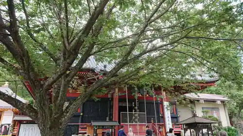 楽法寺（雨引観音）の本殿・本堂