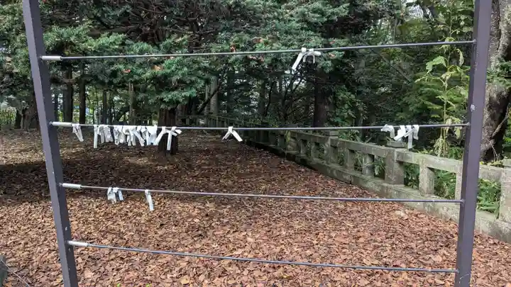 十勝神社のおみくじ