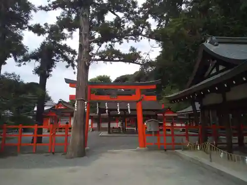 吉田神社の鳥居