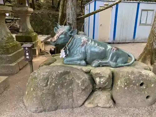 石上神宮の狛犬