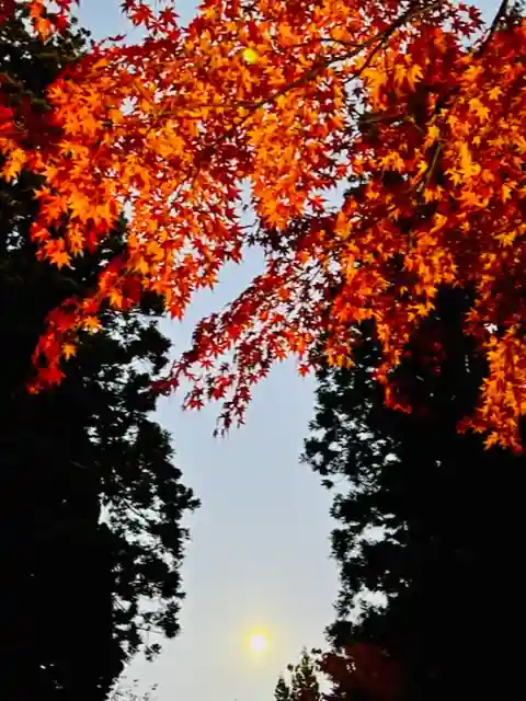 土津神社|こどもと出世の神さまの景色