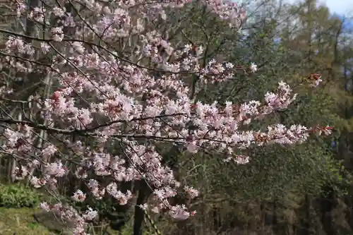 有珠善光寺の自然