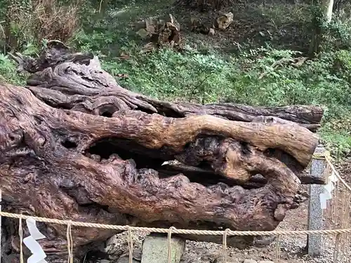 泉神社(茨城県)
