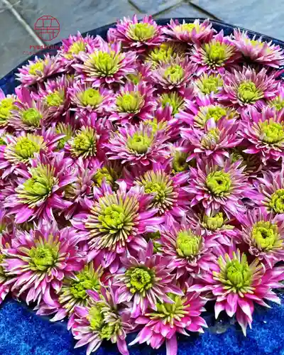 立志神社(滋賀県)