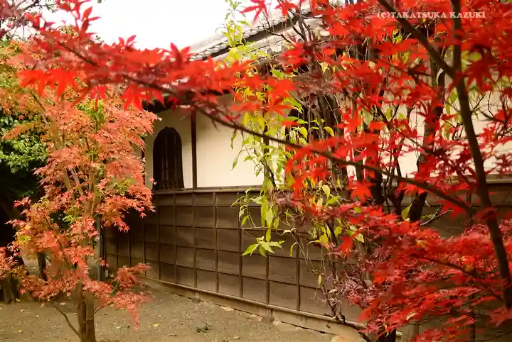 寛永寺(根本中堂)の自然