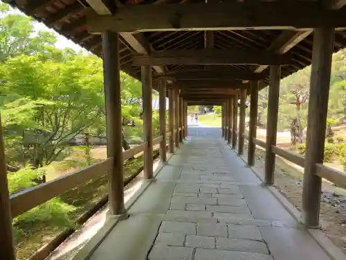 東福禅寺（東福寺）(京都府)
