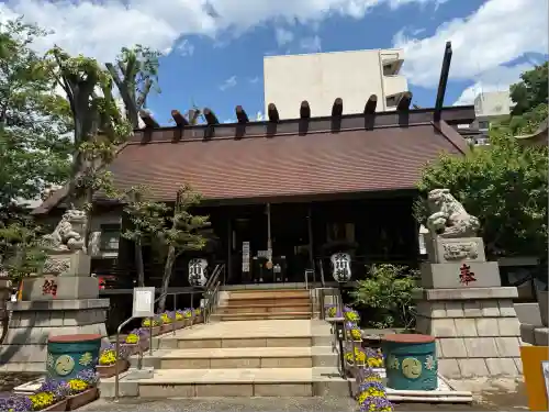 高円寺氷川神社(東京都)