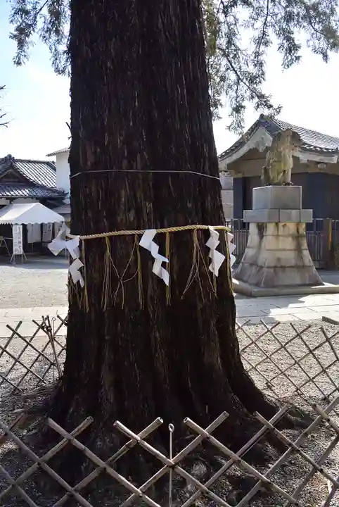 下神明天祖神社(東京都)