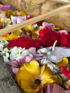 群馬県護国神社(群馬県)(2026年03月28日(土) 14時43分18秒投稿)