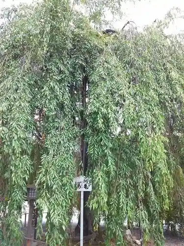 大報恩寺（千本釈迦堂）のその他建物