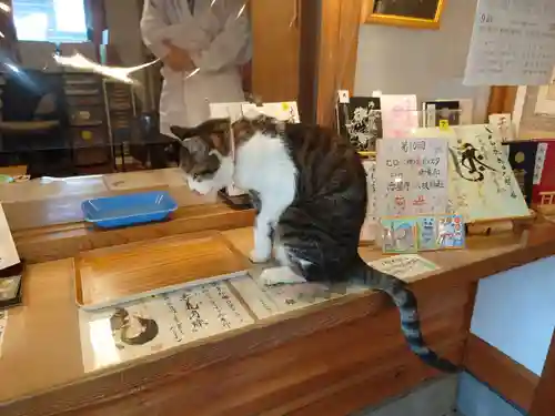 八枝神社の動物