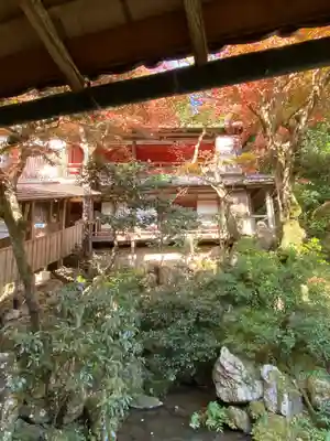 柳谷観音　楊谷寺(京都府)
