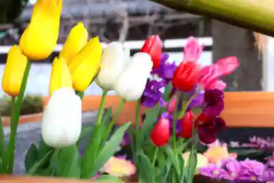 三津厳島神社の手水舎