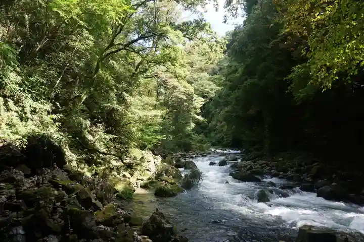 天岩戸神社の自然