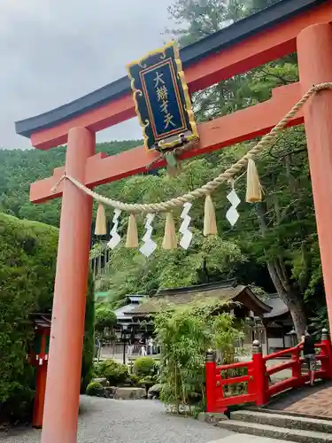 天河大辨財天社の鳥居