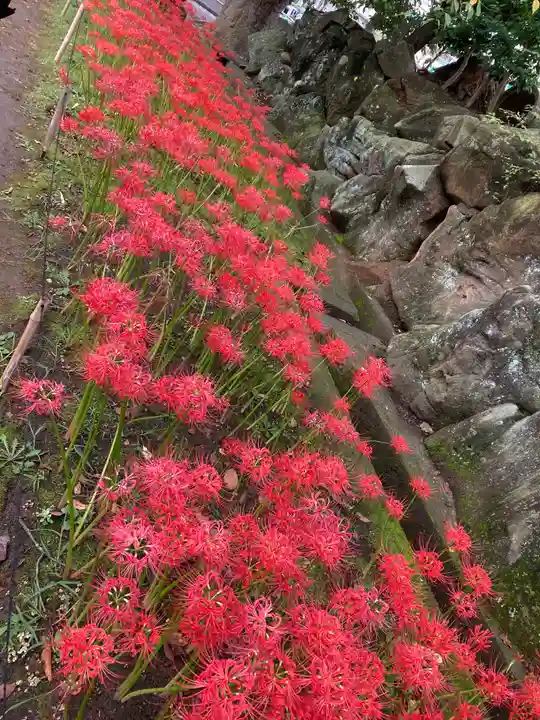 横浜 西方寺の自然
